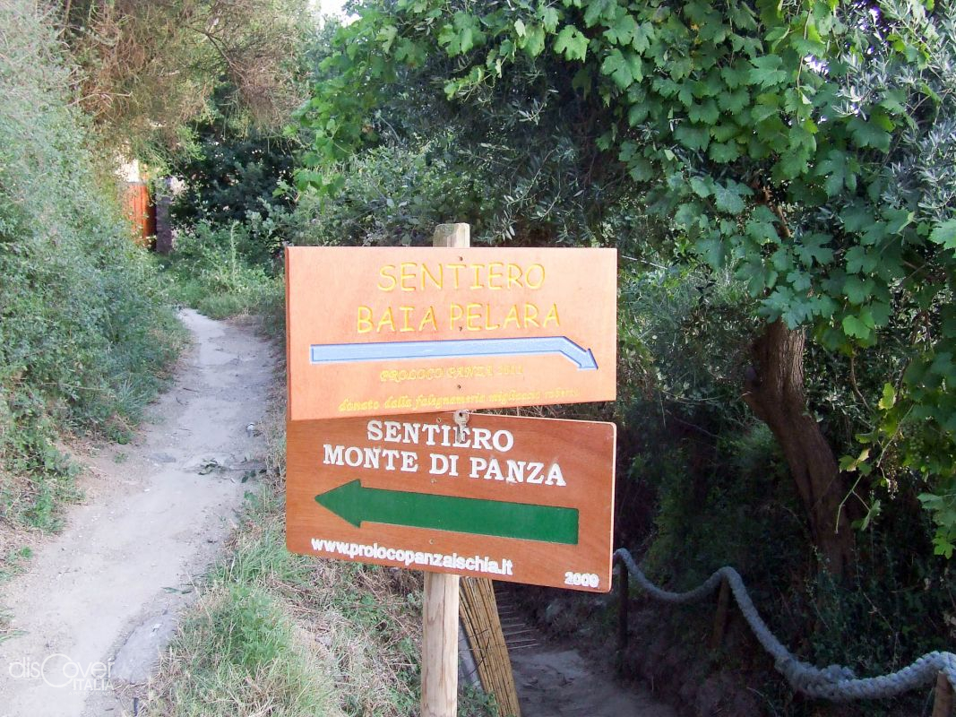 Bosco della Falanga
