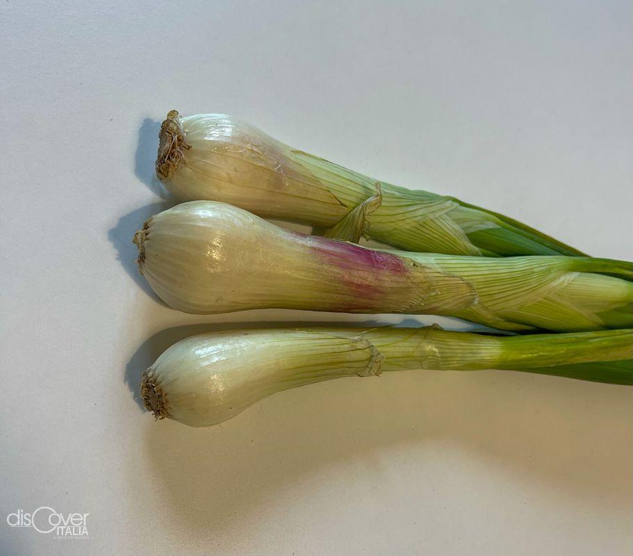 Il Cipollotto nocerino DOP, da oltre duemila anni nella Valle del Sarno